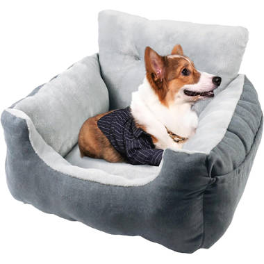 Chuckit hotsell travel bed
